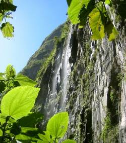 biodiversite.outre.mer.jpg