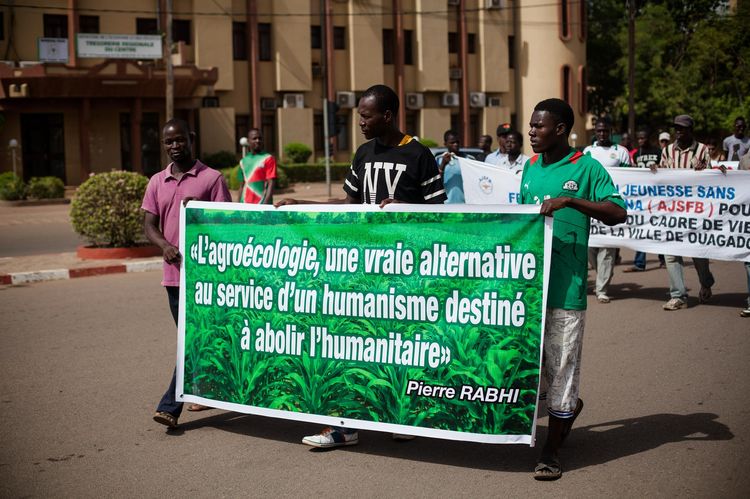 burkinabe.ogm.jpg