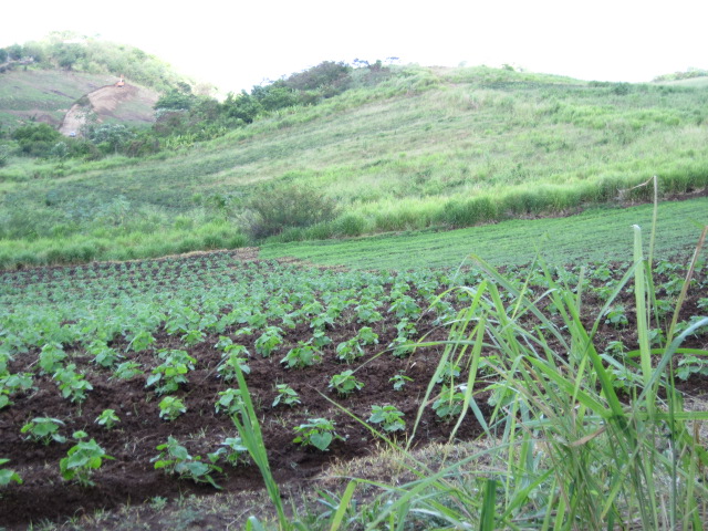 carbet lajus2.jpg