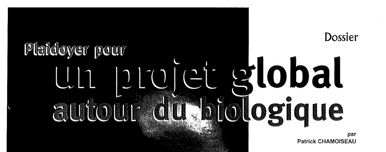 chamois1.jpg