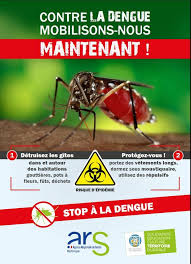 dengue.mq.jpg