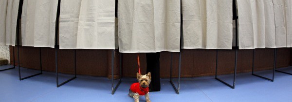 elections.2012.jpg