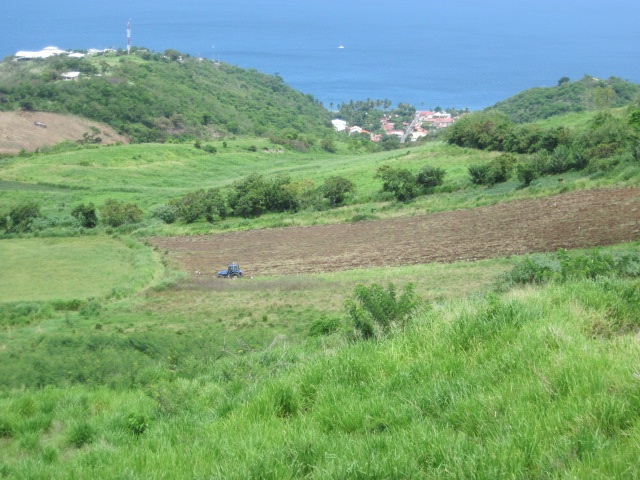 hab.lajus.19mai2011.2.jpg
