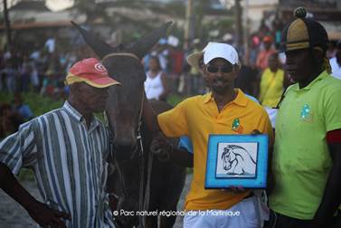 pnm.15.08.vainqueur.jpg