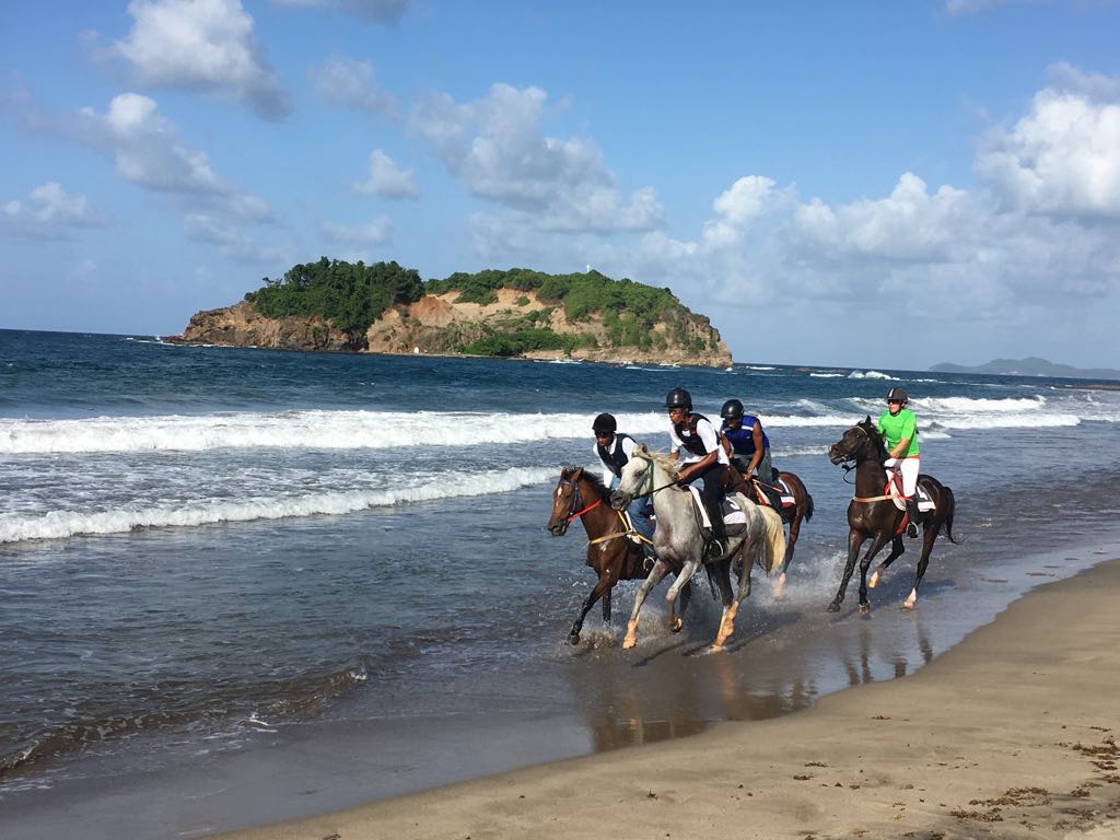pnm.15aout.chevaux.lb.jpg