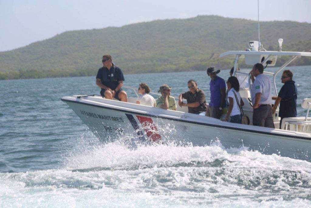 pnm.reserve.6.jpg