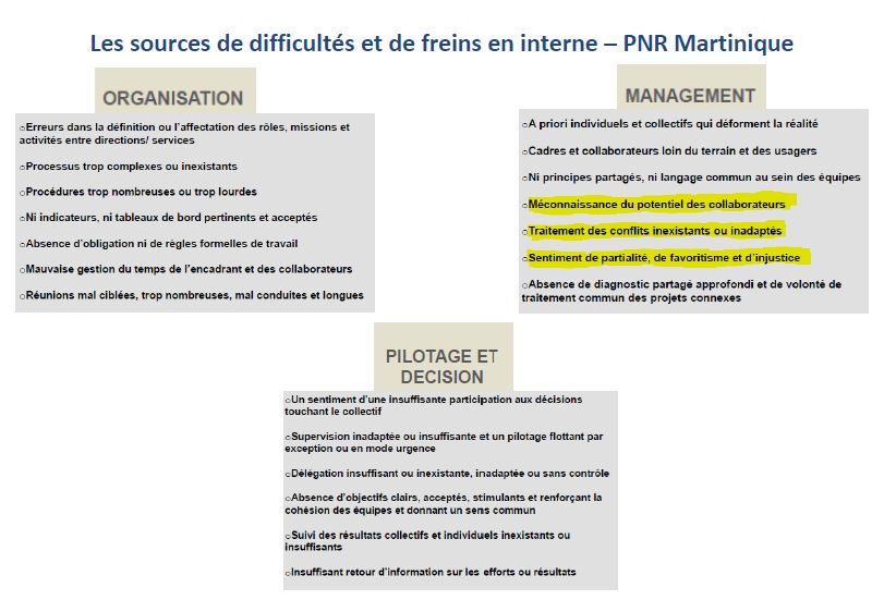 pnrm.audit.managemet.jpg