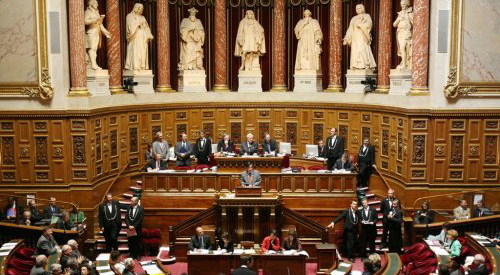 senat.3.jpg