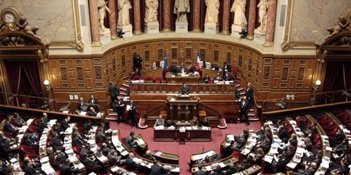 senat2.jpg